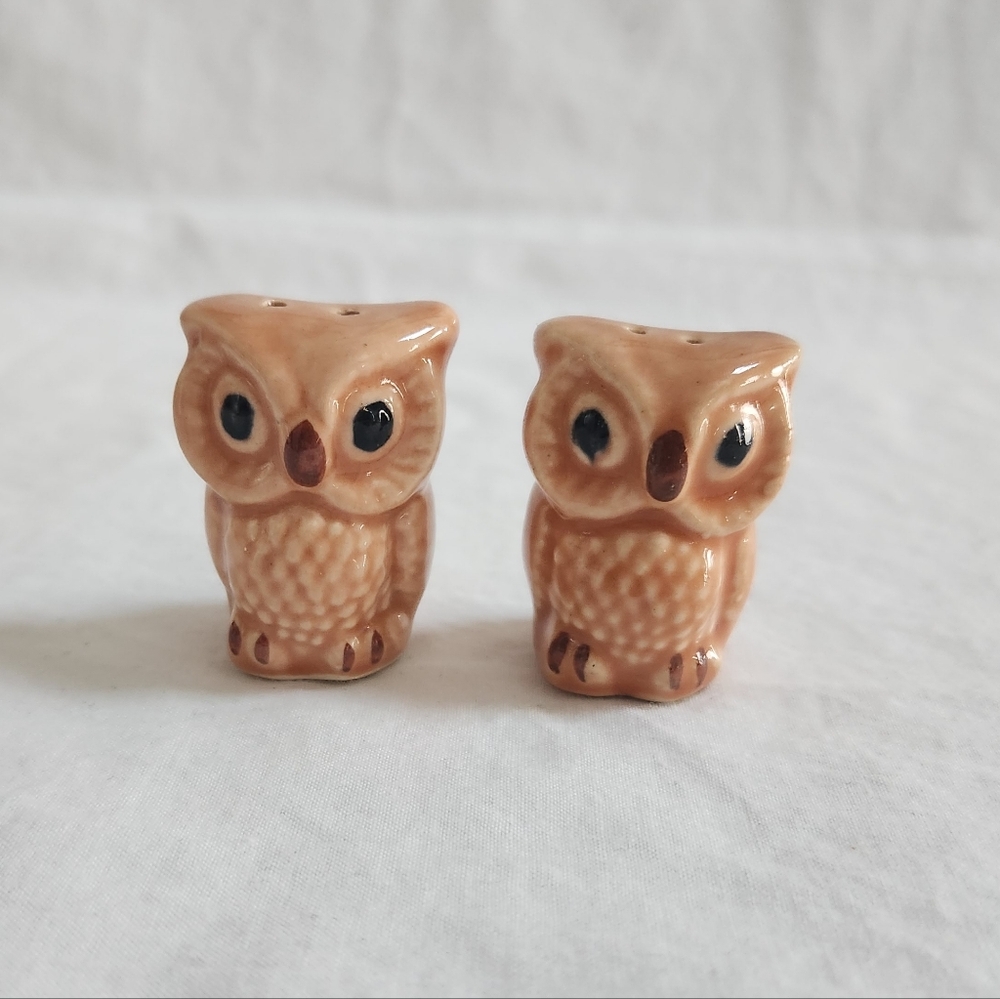 Owl Salt and Pepper Shakers